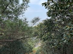 -树山生态村
