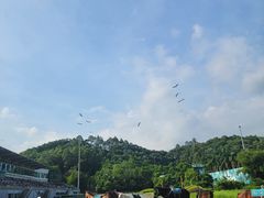 -深圳野生动物园