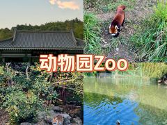 -宁波野生动物园