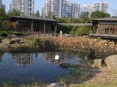 android_upload_pic-白塘生态植物园