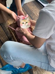 点击看大图 -大树儿童摄影