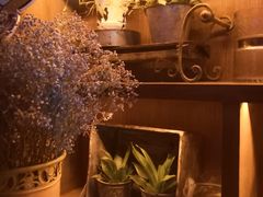-酒肆浅葱•烧烤•龙虾•排档(卓悦intown店)