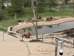 -青藏高原野生动物园
