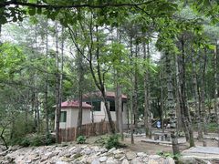 -洛阳白云山景区