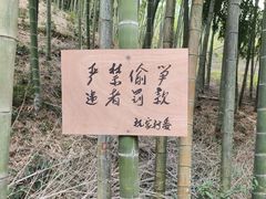 -会稽山峡洞漂流-上青古道