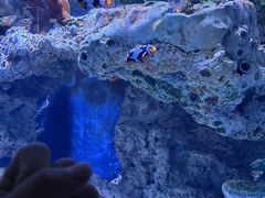 -海合安武汉极地海洋公园