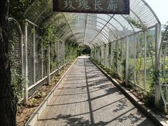 -太阳宫公园