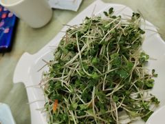 -青岛锅贴(四流中路店)