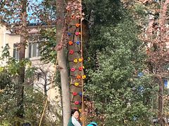 -青龙山国家森林公园