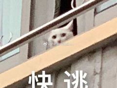 -李德富老街牛杂火锅(抚琴街店)