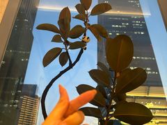-漢舍川菜馆(国贸商城店)