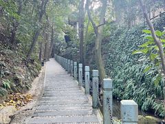 -十八棵（老龙井）御茶园(老龙井店)