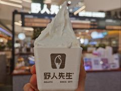-野人先生Gelato(上海长宁龙之梦店)