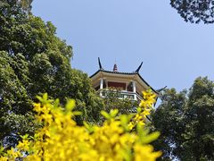 -无锡梅园公园