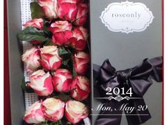 -ROSEONLY诺誓(国际广场购物中心店)