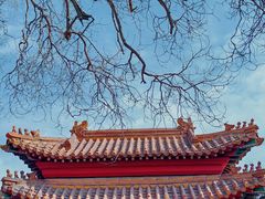-桃花堤公园
