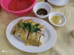 -强记湛江鸡饭店·二十七年老字号(拱北店)