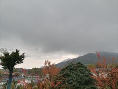 -泰山风景名胜区-虎山公园
