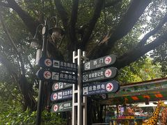 -东风公园