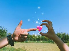 -春花秋色城市公园