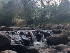-广州市石门国家森林公园