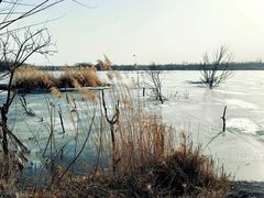 -绿堤公园