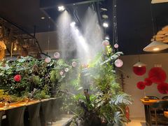 -森味薪火烧•烧鸟居酒屋•日本料理(望京店)