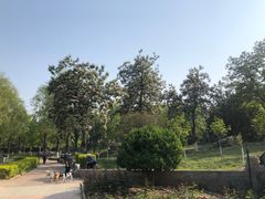 -石榴庄公园