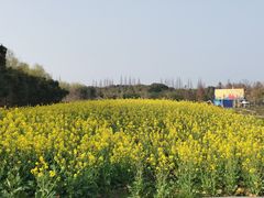 -同里国家湿地公园