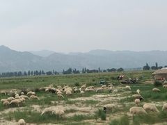 -敕勒川草原文化旅游区