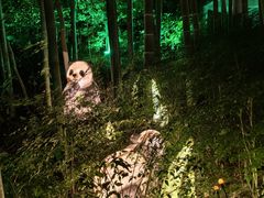 -天目湖御水温泉·度假酒店