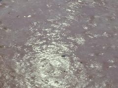 -煲煲掂风味煲仔饭餐厅(西区店)