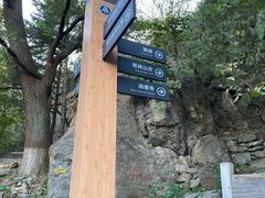 -北京鹫峰国家森林公园