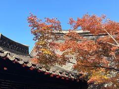 -何园