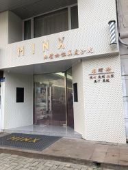 -MINX名珂斯·烫染形象设计