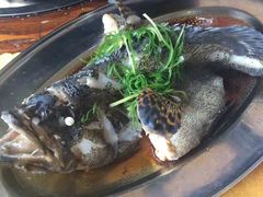 -蚝专家(北滘店)