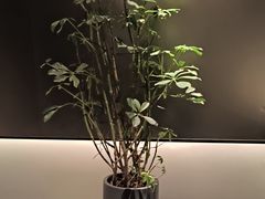 -望京辣宴·古法川菜(望京店)