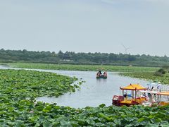 -上海海湾国家森林公园