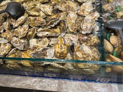 -丰卓会海鲜自助(中润大道店)
