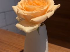 -tu&tulip by茴悦(百家湖1912店)