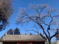 -北京艺术博物馆(万寿寺)