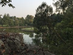 鱼凫国都温泉-鱼凫国都大酒店温泉