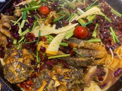 -老板恋上鱼(恒隆广场店)