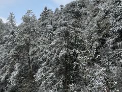 景点-九华山风景区