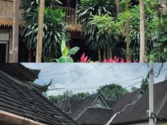 -西双版纳傣族园