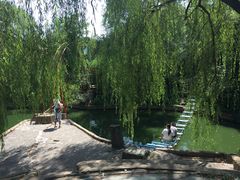 游乐设施-沈阳植物园