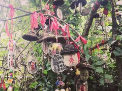 -亚龙湾热带天堂森林公园