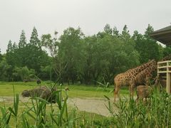 -宁波野生动物园