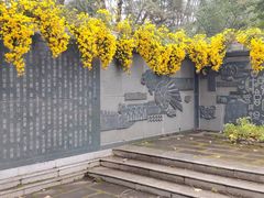-沈阳植物园