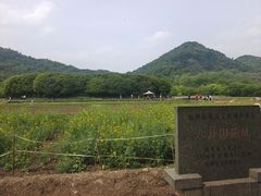 -八卦田遗址公园